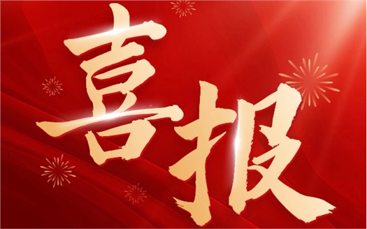 集團榮膺2025中國民營企業(yè)500強第249位，制造業(yè)民營企業(yè)500強第177位，排名較去年雙雙大幅提升